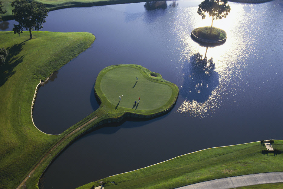 sawgrass